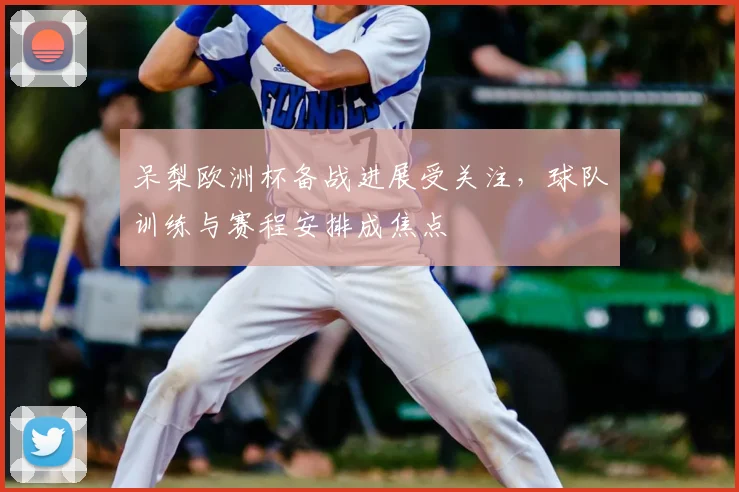 呆梨欧洲杯备战进展受关注,球队训练与赛程安排成焦点