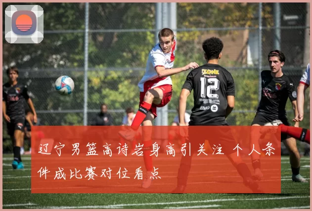 辽宁男篮高诗岩身高引关注 个人条件成比赛对位看点